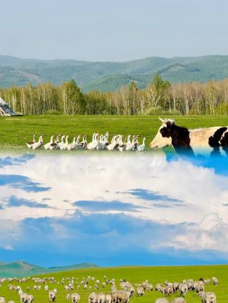 Guanshan Grassland Travel Guide: Enter the "Little Switzerland" of Northwest China