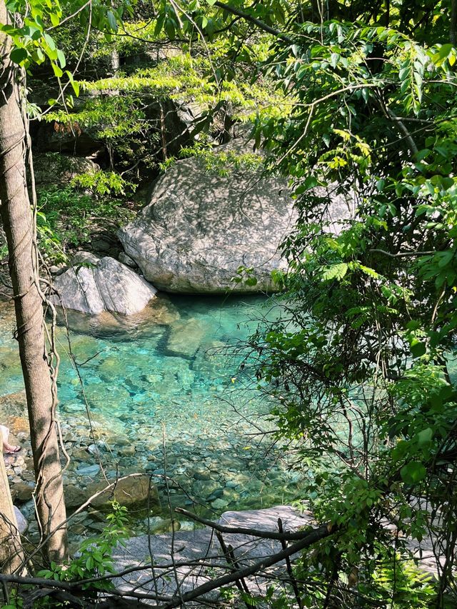 莫干山碧坞龍潭｜0元玩水秘境！獨享「竹林瀑布