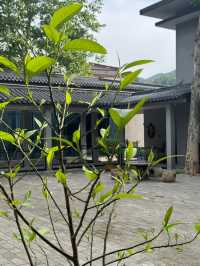 花築奢·蘭庭民宿：住進綠野仙蹤嘅畫框裏，每一啖呼吸都係治癒