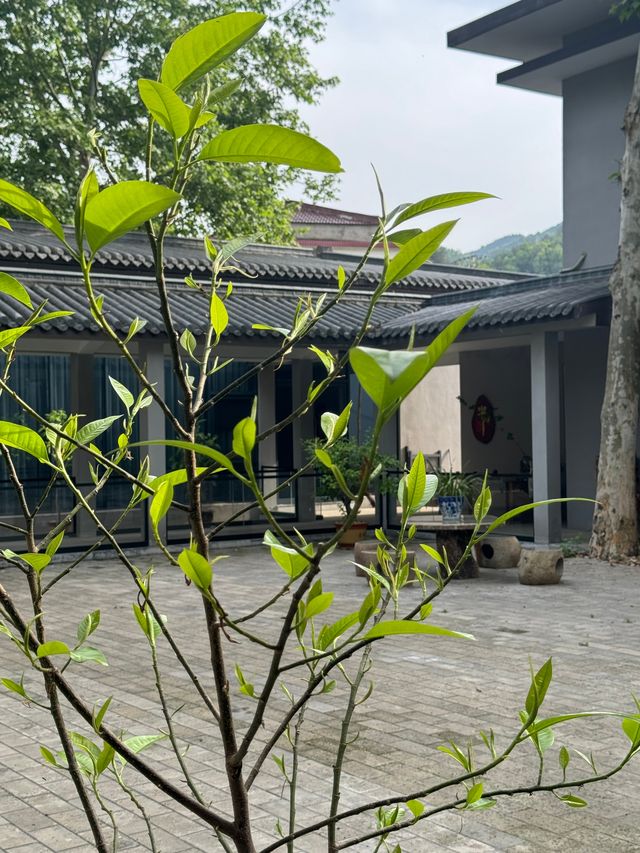 花築奢·蘭庭民宿：住進綠野仙蹤嘅畫框裏，每一啖呼吸都係治癒