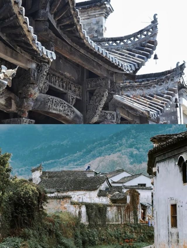逃離現實！闖入六月江南的水墨修真秘境