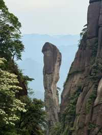 上饒三清山｜住進三清宮畔的秘境聖地之中