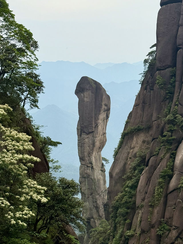 上饒三清山｜住進三清宮畔的秘境聖地之中