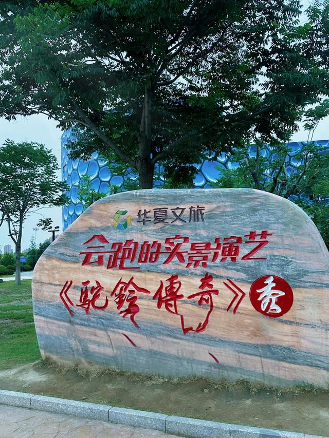 駝鈴傳奇
