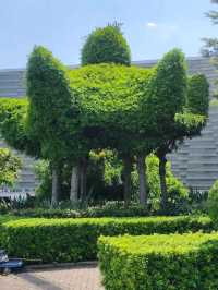 香港出發至澳門水塘公園交通攻略 