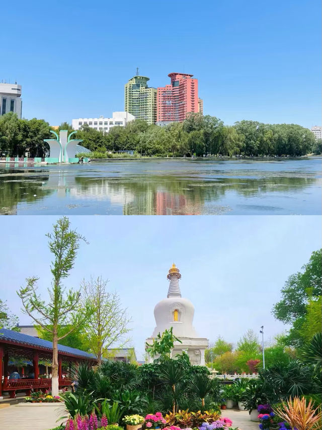 瀋陽已返，我嘅消費觀崩塌咗。