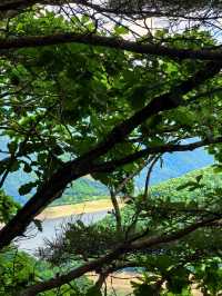 向山野，同昆蟲、樹葉同蘑菇見面