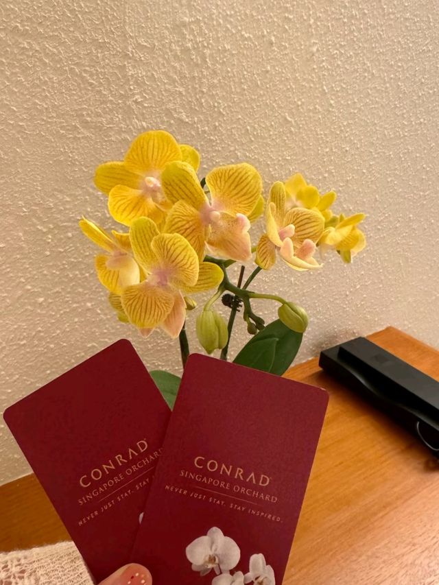 Stunning Singapore Orchard Road Conrad Hotel 🇸🇬 