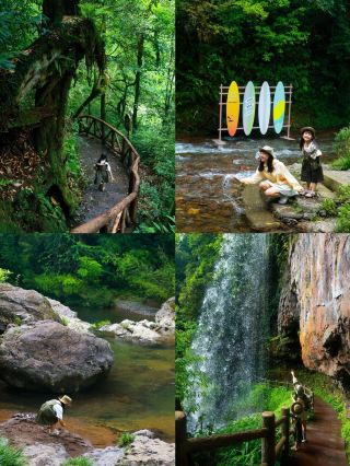 Chengdu Moms Stumble Upon a Treasure: A 3-Hour Escape to a 23°C Forest Paradise Where Kids Never Want to Leave