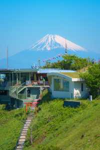 富士山通關速成指南，新手入境必睇