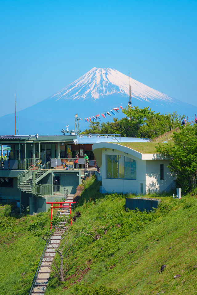 富士山通關速成指南，新手入境必睇