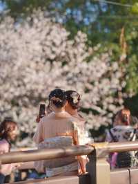 網羅全網京都吃喝玩樂最強旅行攻略推薦