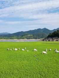 藏喺浙東嘅呢座均溫23℃嘅避暑小城，