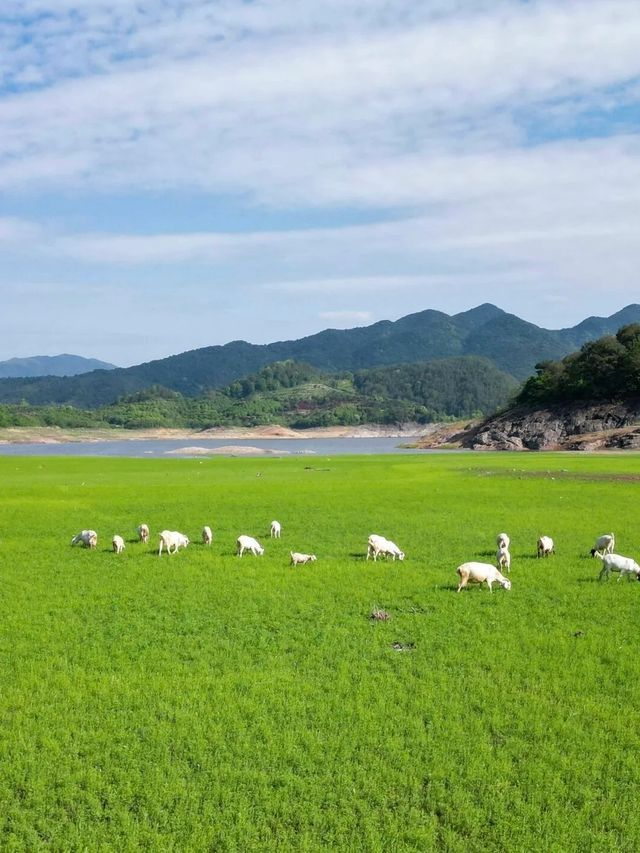 藏喺浙東嘅呢座均溫23℃嘅避暑小城，
