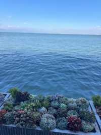 昆明｜滇池邊藏著個小漁村，浪漫得剛剛好