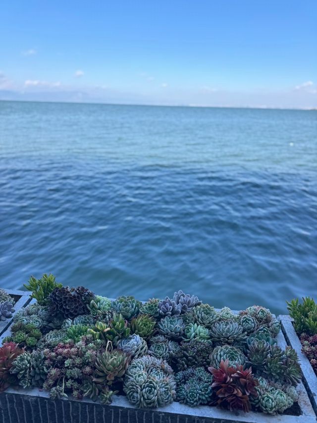 昆明｜滇池邊藏著個小漁村，浪漫得剛剛好