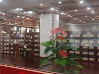 泉州市圖書館