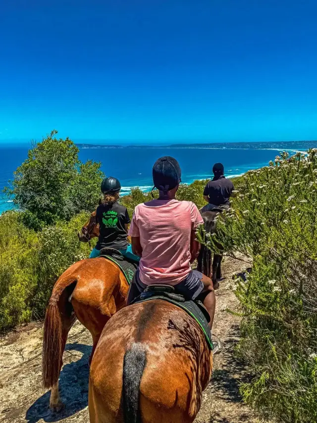 You have to go wild at least once in your life! South Africa is the ultimate travel destination this year