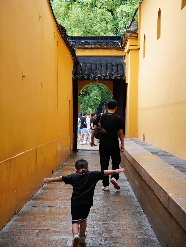 蘇州西園寺吃麵撸貓看這一篇就夠了 蘇州西園寺吃麵撸貓看這一篇就夠了