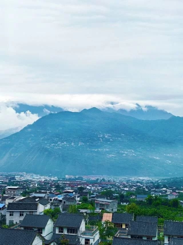 花椒熟了