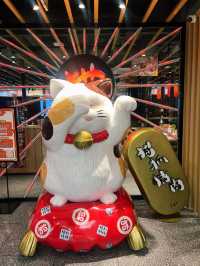 “Meow-licious” Korean BBQ Experience in Kunming