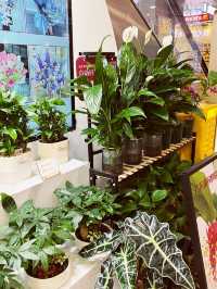 Blooms of Elegance: Royal Garden at CITIC Plaza