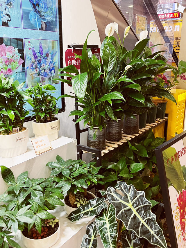 Blooms of Elegance: Royal Garden at CITIC Plaza