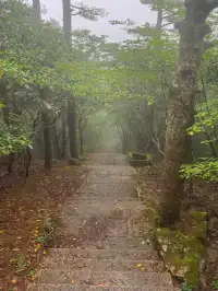 黃山單日徒步超詳細攻略