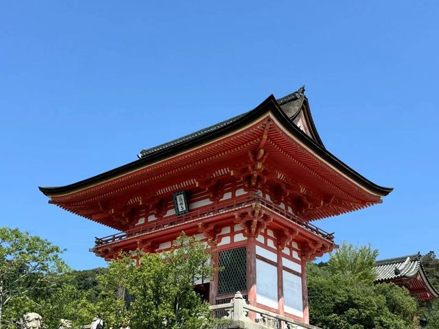春末初夏的京都：與綠意的浪漫邂逅