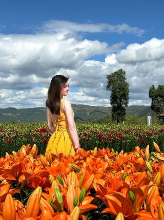 Autumn at Taiping Lake: Waiting for a Sunset in a Sea of Lilies