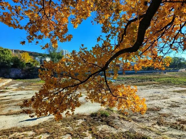 大連西山水庫賞楓指南：藏在市區的秋日限定紅韻