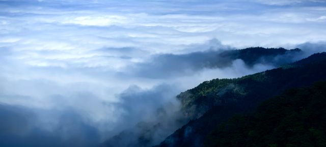 住進廬山雲海間｜這家民宿讓我實現了仙俠夢