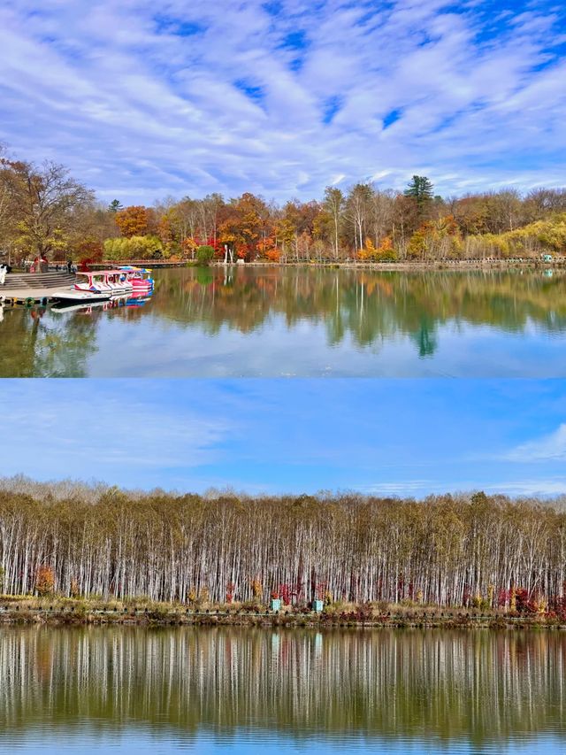露水河國家森林公園太美啦