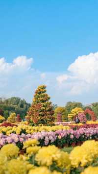 洛陽菊花展兩日遊攻略
預算：3000 元以內
行程安排
第一天
●上午：抵達洛陽後，前往預訂酒店辦理
