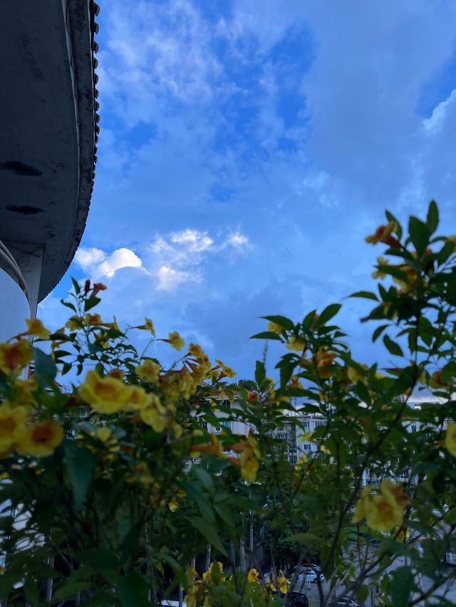 汕頭萬象城附近！我住過超滿意的別墅