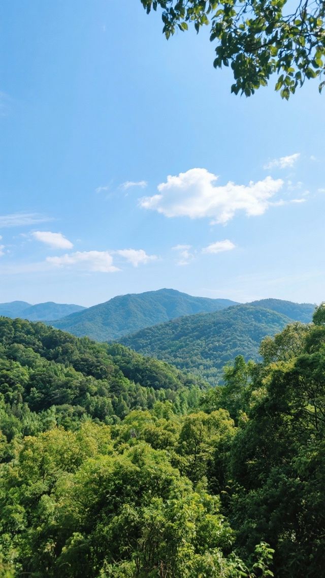 招遠旅遊