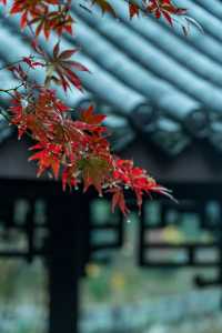 重慶｜石門公園的「新中式」雨天美學