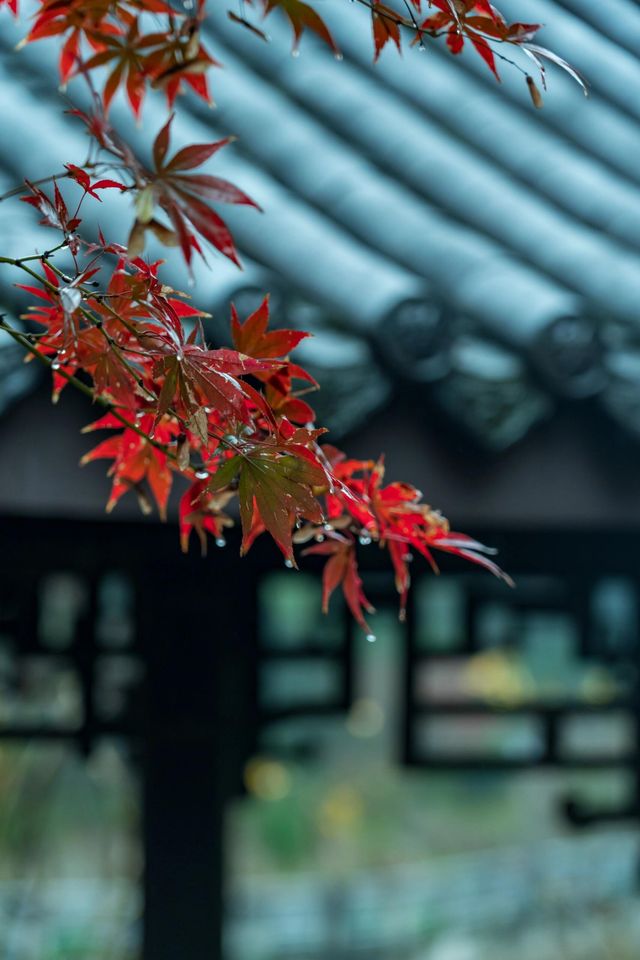 重慶｜石門公園的「新中式」雨天美學