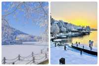 南方人的冬日狂想：2025-2026雪季廬山賞雪全攻略