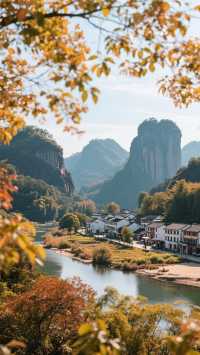 金秋武夷山三天兩晚，旅遊攻略！茶香山水間的慢遊行！