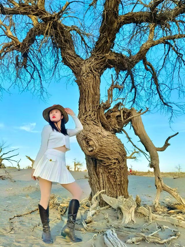 迄今為止 我見過最美的秋景在額濟納旗