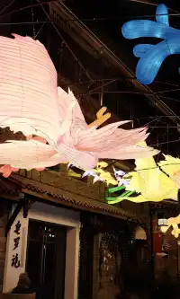 右滑磁器口的自貢非遺魚燈！全屏震撼！