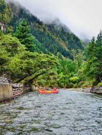 川西小環線親子友好不塞車路線