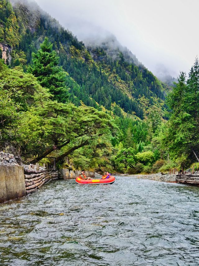 川西小環線親子友好不塞車路線
