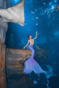 長喬海洋度假區，解鎖美人魚潛水新奇遇