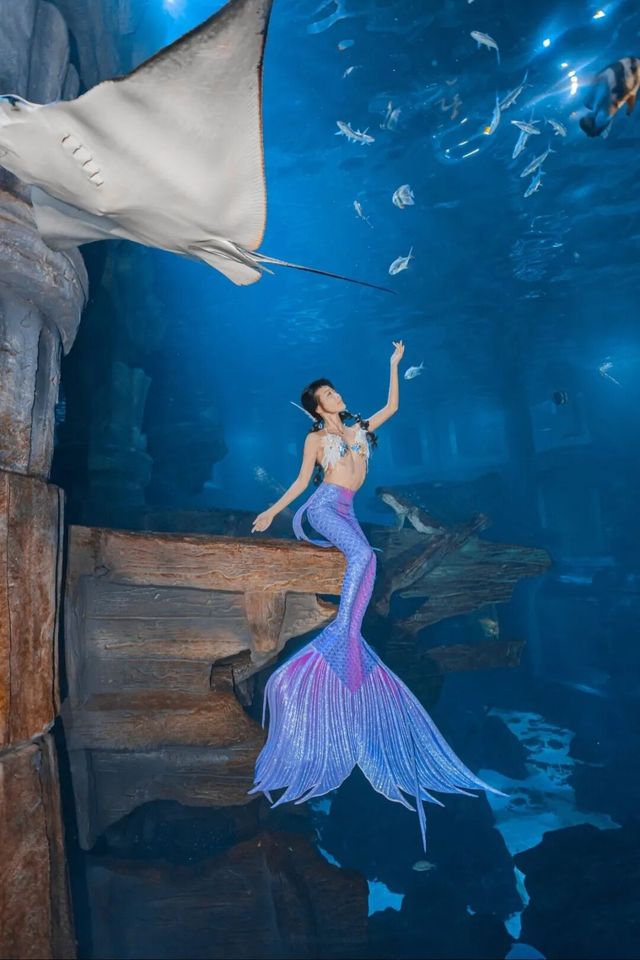 長喬海洋度假區，解鎖美人魚潛水新奇遇