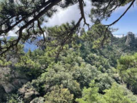 歡迎來老界嶺旅遊