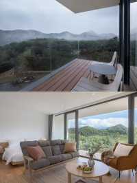 長三角秋日野趣天花板！安吉綠山牆藏著板栗與竹海秋景