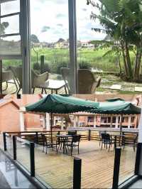 普者黑秘境，浪漫湖景等你探！