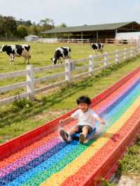 衢州親子遊|2天1晚不費媽!娃瘋玩+我躺平的0踩雷攻略(附省